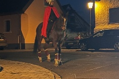 St.Martin (c) Kita Neuhaus