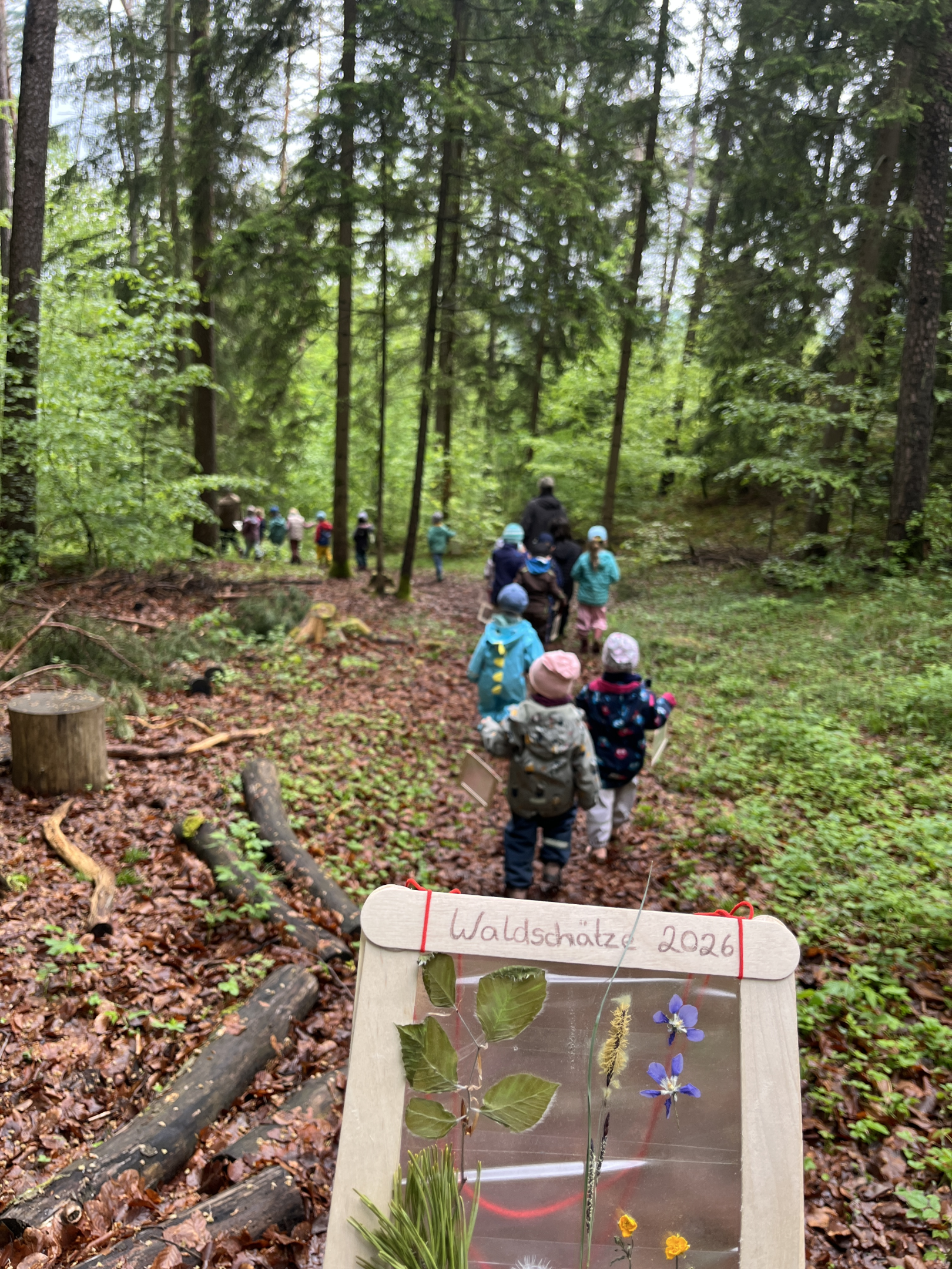 Wald (c) Kita Neuhaus